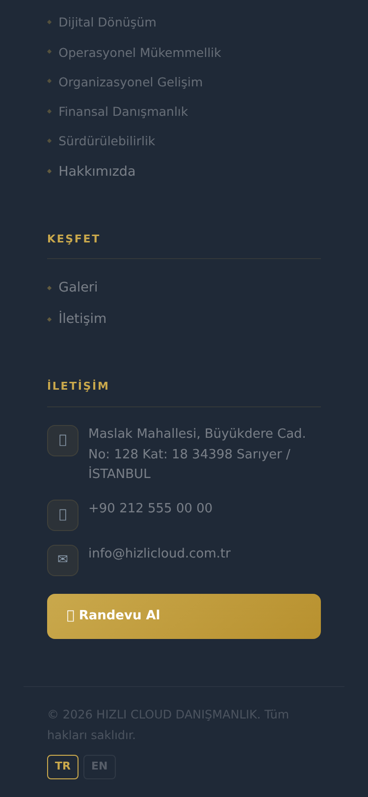 İş ve Yönetim Danışmanlığı Web Sitesi 5