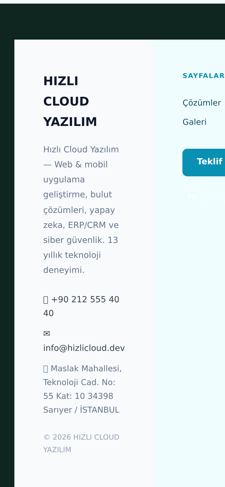 Yazılım Firması Kurumsal Web Sitesi 5