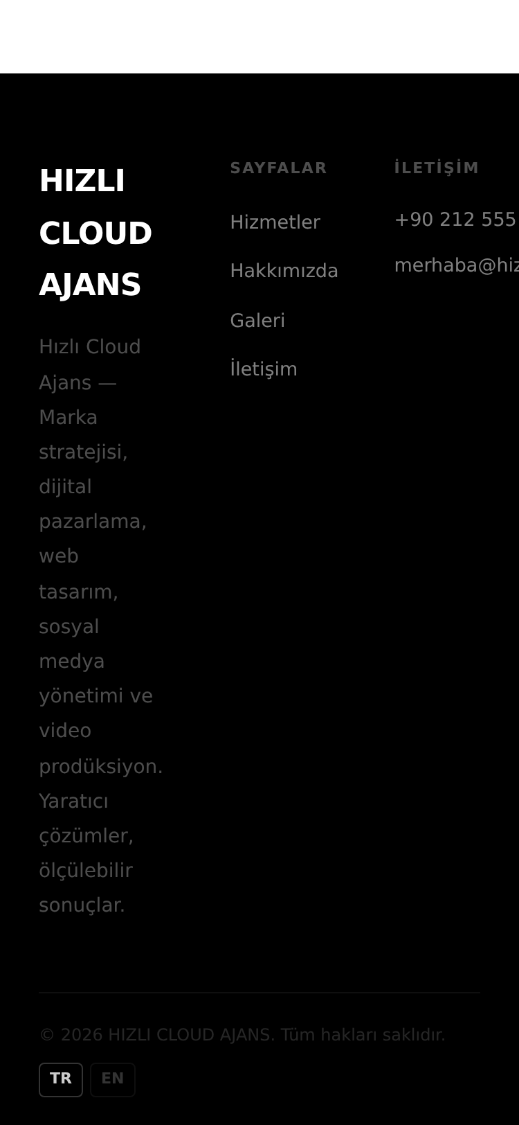 Dijital Pazarlama Ajansı Kurumsal Web Sitesi 5