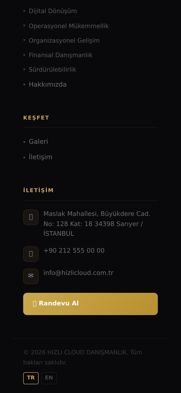 Dış Ticaret Danışmanlık Web Sitesi 5