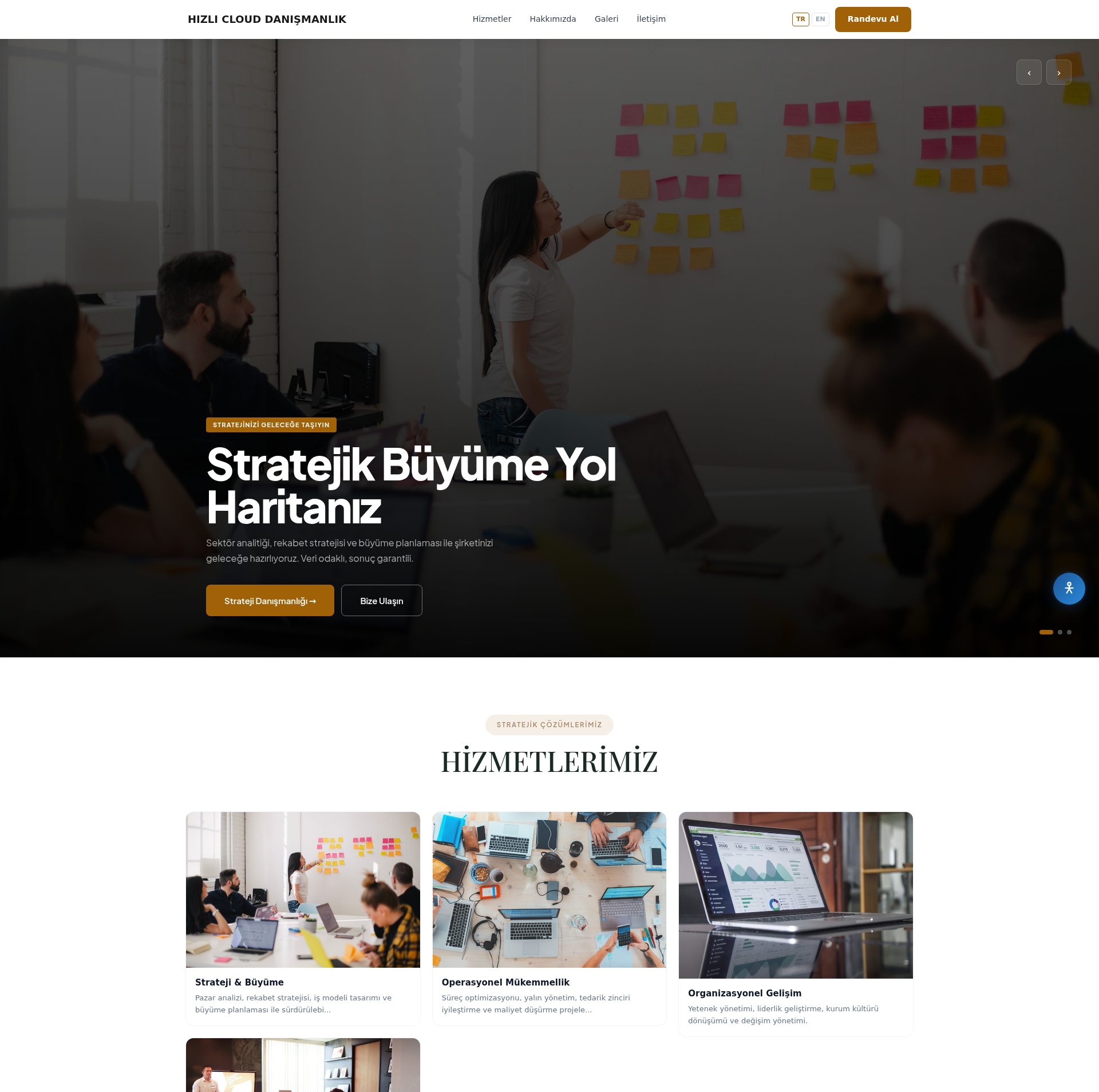 Dış Ticaret Danışmanlık Web Sitesi