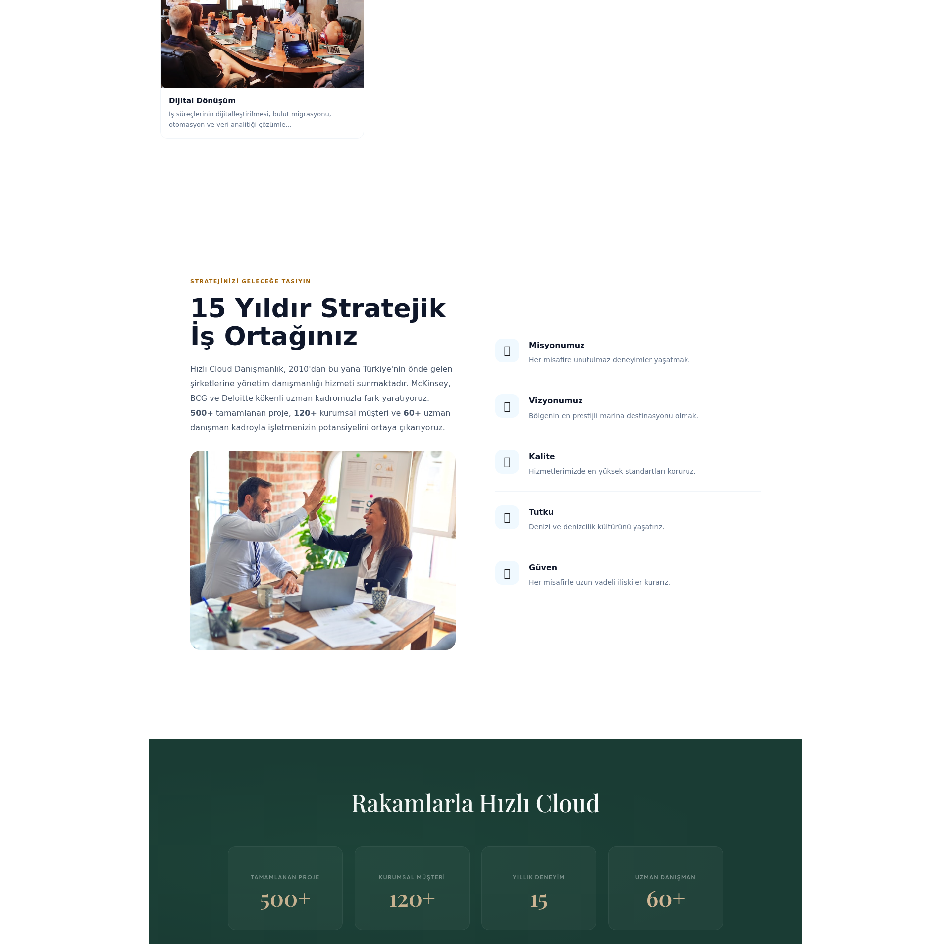 Dış Ticaret Danışmanlık Web Sitesi 2