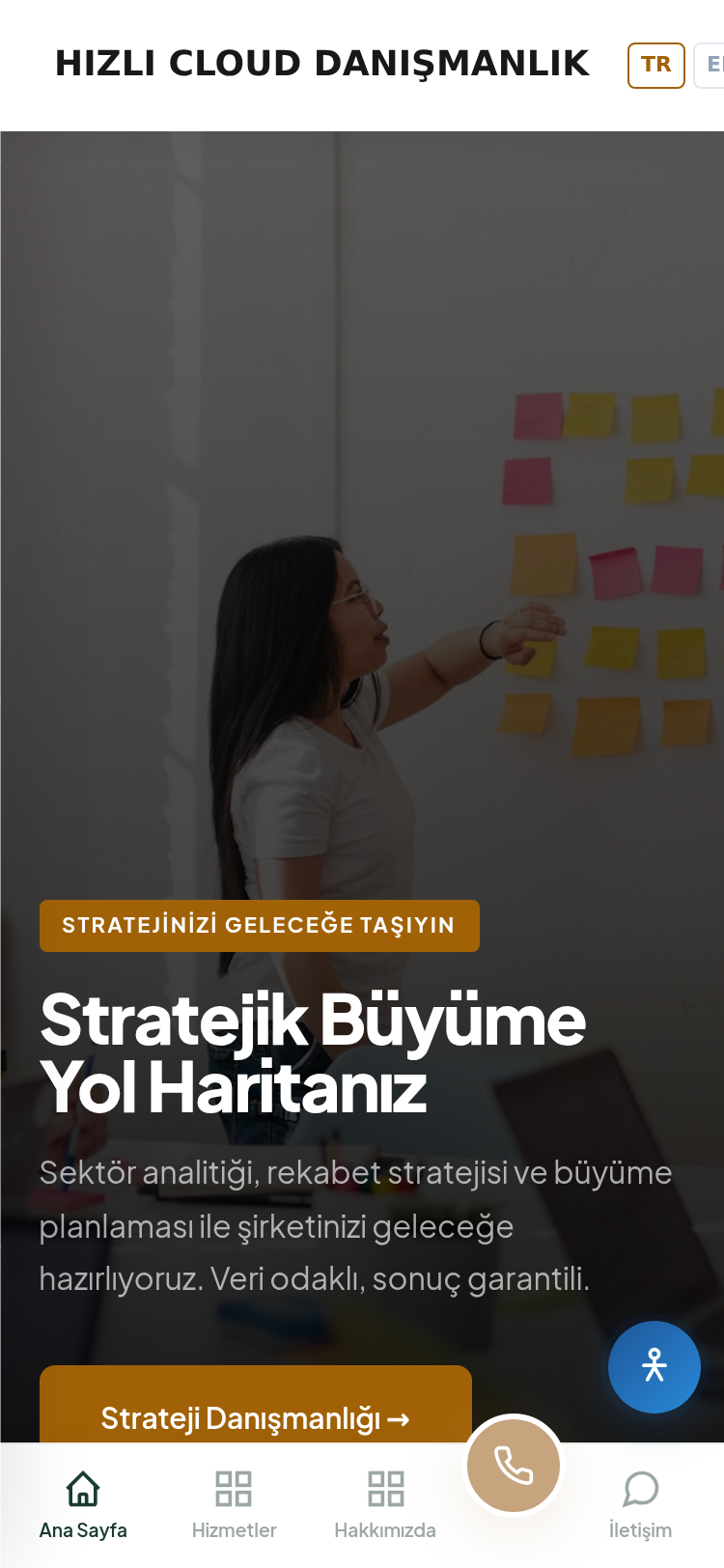 Dış Ticaret Danışmanlık Web Sitesi 4
